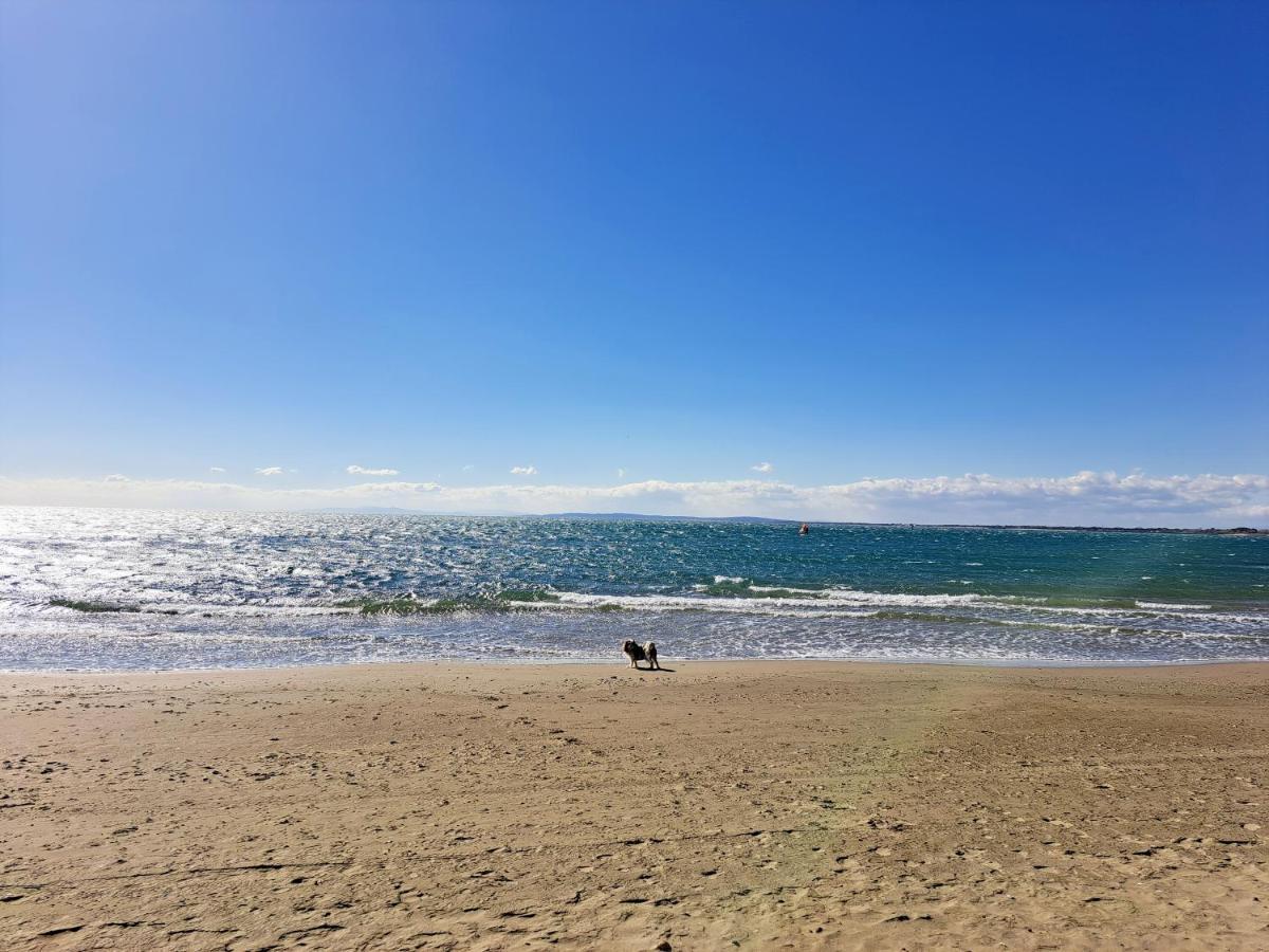 32M² Terrasse Plage Cap D'Agde Leilighet Eksteriør bilde